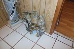 Sale Photo Thumbnail #18