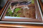 Sale Photo Thumbnail #32