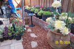 Sale Photo Thumbnail #16