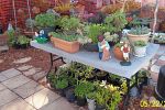 Sale Photo Thumbnail #32