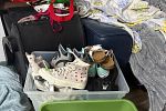 Sale Photo Thumbnail #7