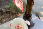 Sale Photo Thumbnail #7