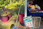 Sale Photo Thumbnail #23