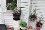 Sale Photo Thumbnail #27