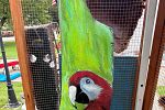 Sale Photo Thumbnail #20