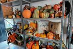 Sale Photo Thumbnail #16
