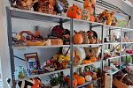 Sale Photo Thumbnail #18