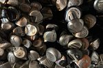Sale Photo Thumbnail #22