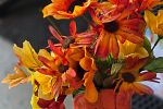 Sale Photo Thumbnail #26