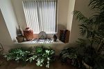Sale Photo Thumbnail #53