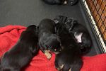 Sale Photo Thumbnail #35