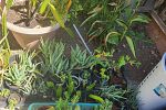 Sale Photo Thumbnail #121