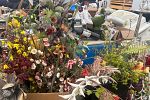 Sale Photo Thumbnail #17
