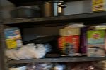 Sale Photo Thumbnail #19