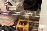 Sale Photo Thumbnail #10