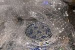 Sale Photo Thumbnail #25