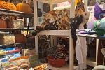 Sale Photo Thumbnail #23