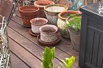 Sale Photo Thumbnail #14