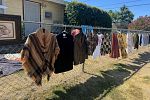 Sale Photo Thumbnail #10