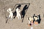 Sale Photo Thumbnail #104