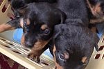 Sale Photo Thumbnail #20