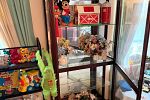 Sale Photo Thumbnail #38