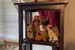 Sale Photo Thumbnail #31