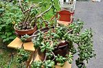 Sale Photo Thumbnail #28