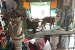 Sale Photo Thumbnail #35
