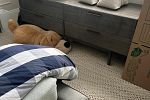 Sale Photo Thumbnail #22