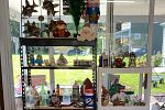 Sale Photo Thumbnail #17