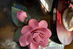Sale Photo Thumbnail #35