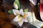 Sale Photo Thumbnail #66