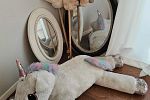 Sale Photo Thumbnail #32