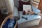 Sale Photo Thumbnail #34