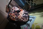 Sale Photo Thumbnail #71