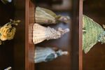 Sale Photo Thumbnail #59