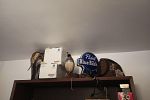 Sale Photo Thumbnail #48