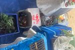Sale Photo Thumbnail #8