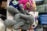 Sale Photo Thumbnail #2