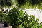 Sale Photo Thumbnail #45