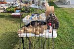 Sale Photo Thumbnail #2