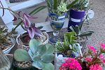 Sale Photo Thumbnail #12