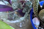 Sale Photo Thumbnail #14