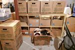 Sale Photo Thumbnail #23