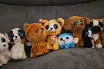Sale Photo Thumbnail #14