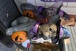 Sale Photo Thumbnail #4