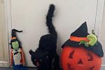 Sale Photo Thumbnail #48