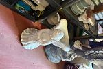Sale Photo Thumbnail #40