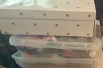 Sale Photo Thumbnail #4